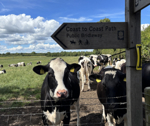 Things to Do in North Yorkshire
